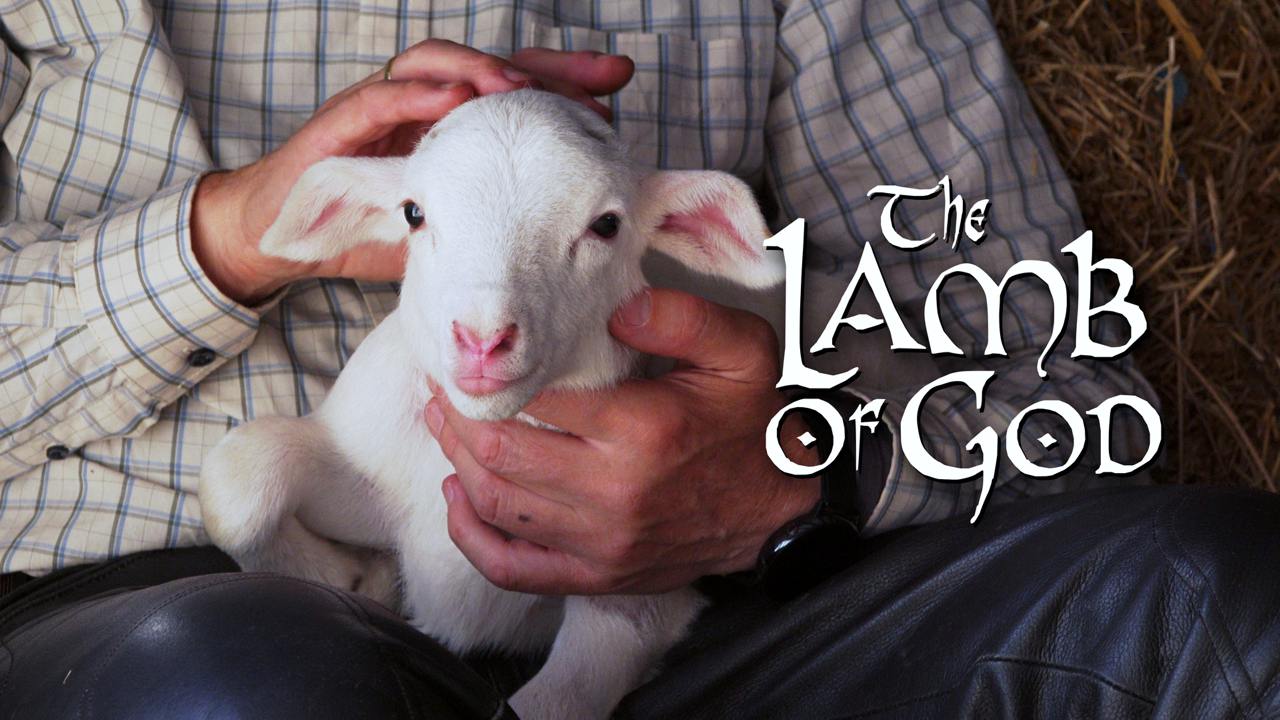 The Lamb of God