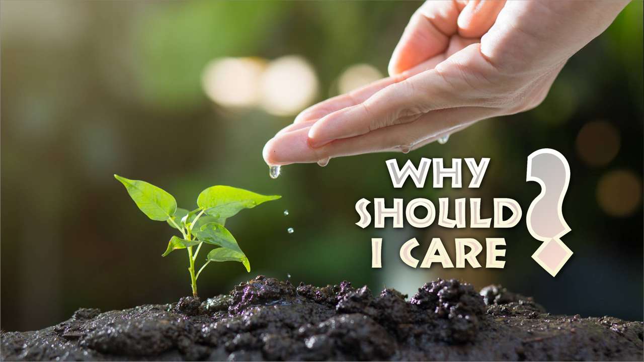 Why Should I Care?