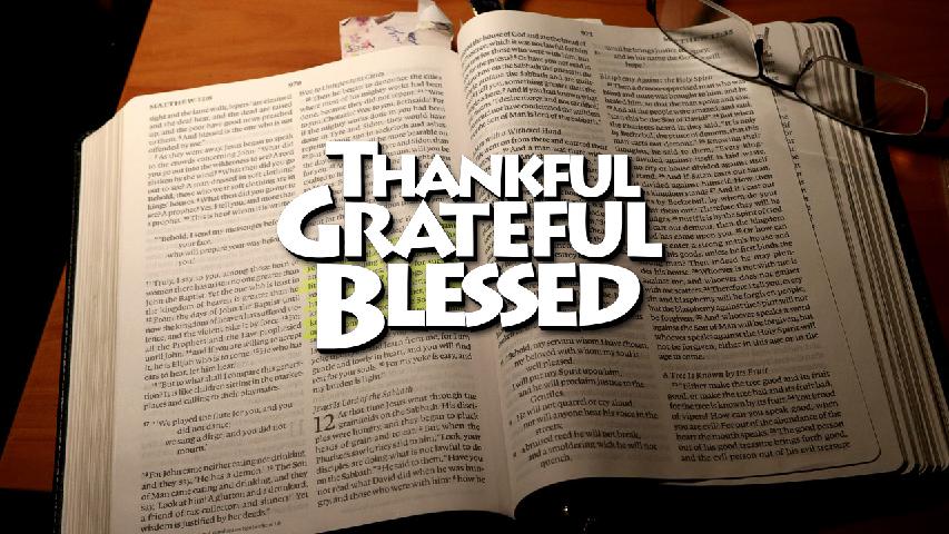 Gratitude