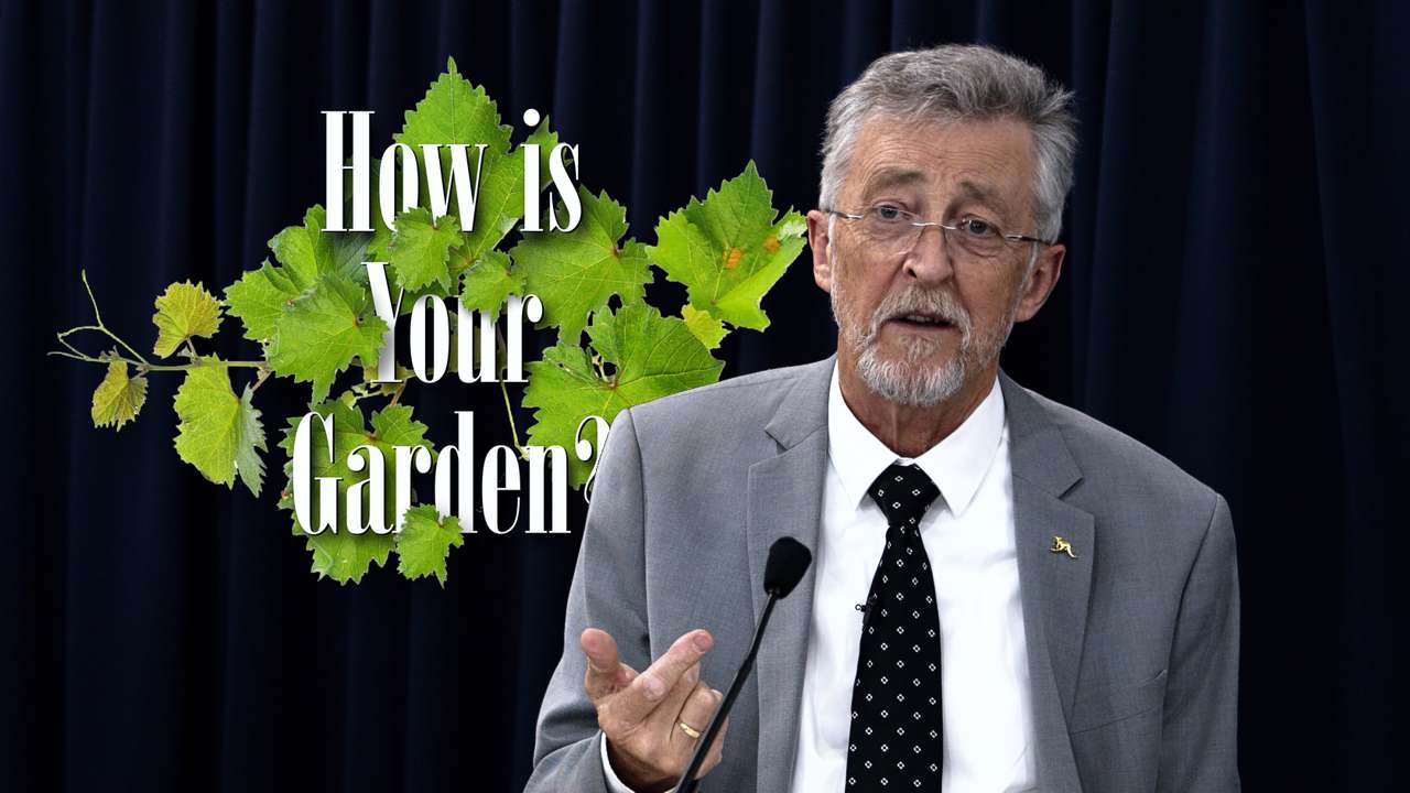 How is Your Garden?